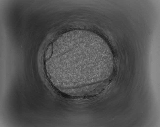 X0000086761489200705111704