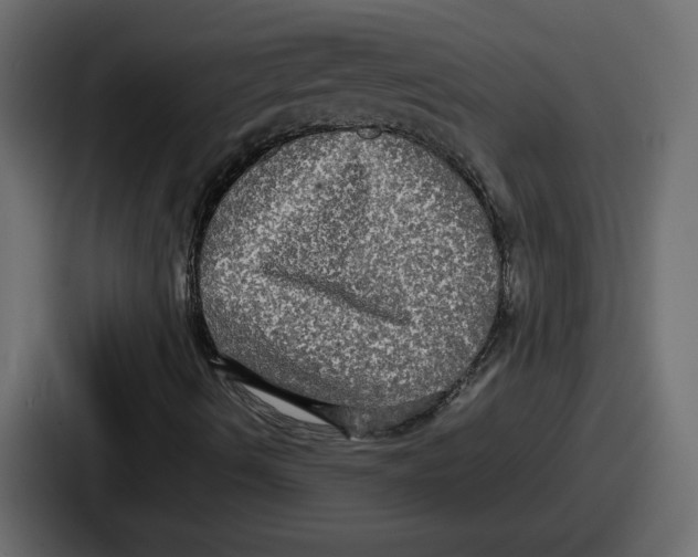 X0000086761490200705111704