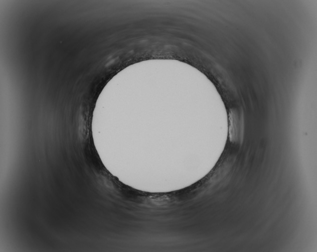 X0000086761491200705111704