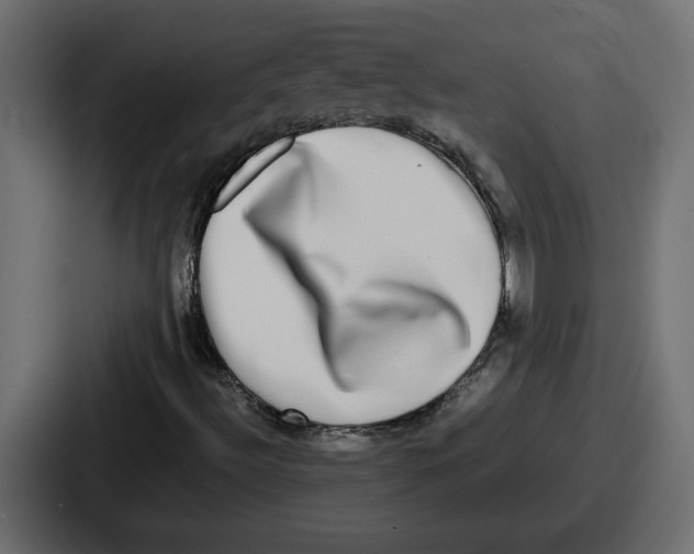 X0000086761492200705111704