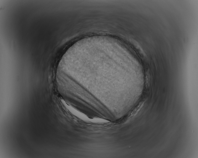 X0000086761494200705111704