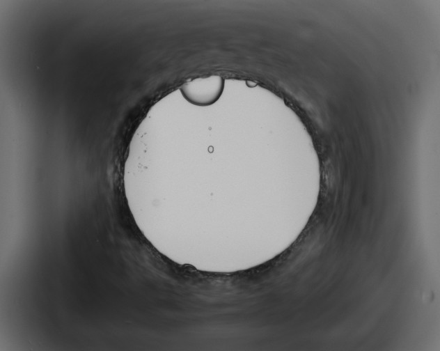 X0000086761495200705111704