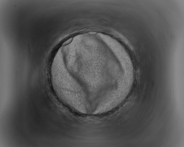 X0000086761496200705111704