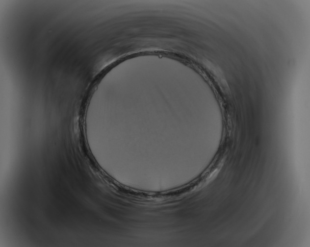 X0000086761497200705111704