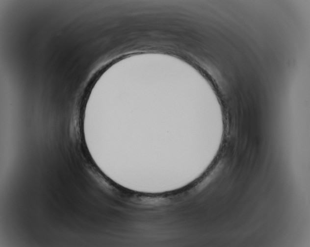 X0000086761498200705111704