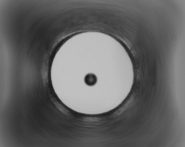 X0000086761499200705111704