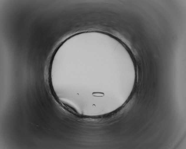 X0000086761500200705111704