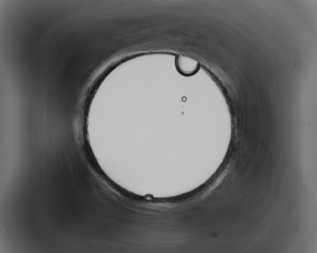 X0000086761502200705111704