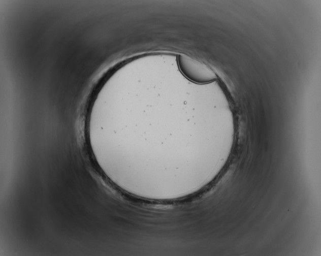 X0000086761503200705111704