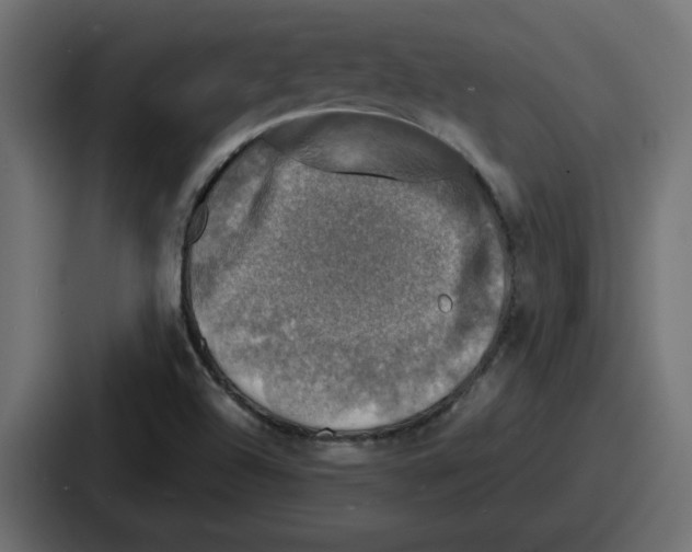 X0000086761504200705111704