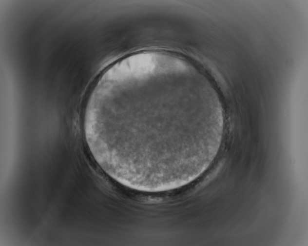 X0000086761505200705111704