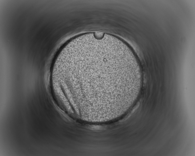 X0000086761507200705111705