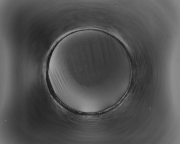 X0000086761508200705111705