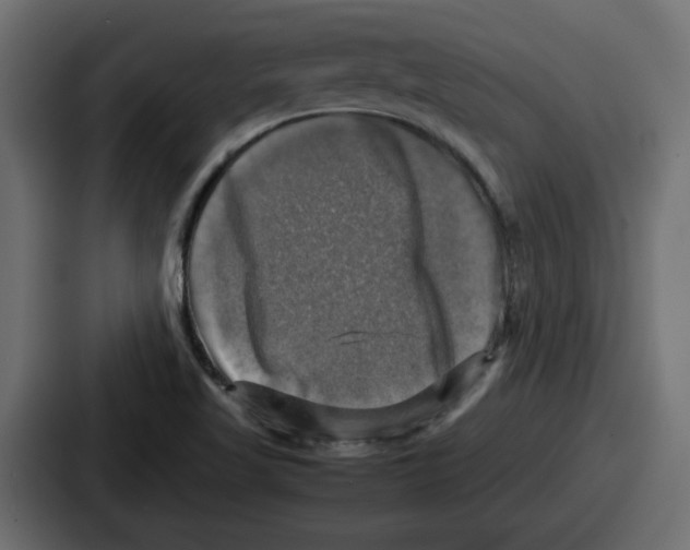 X0000086761509200705111705