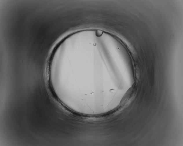 X0000086761510200705111705