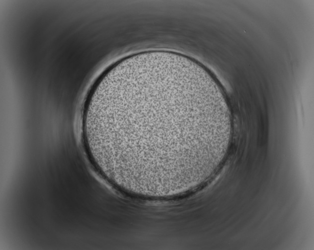 X0000086761511200705111705