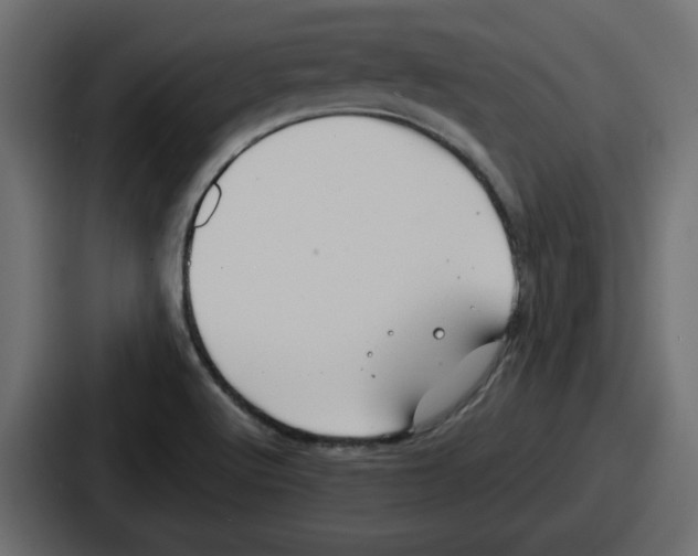 X0000086761512200705111705