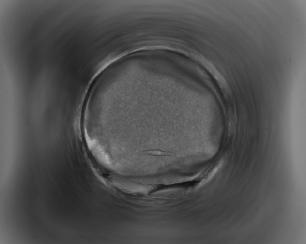 X0000086761513200705111705