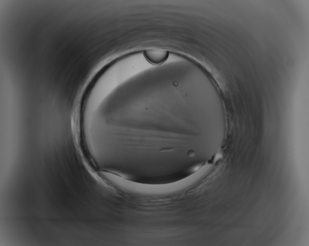 X0000086761515200705111705