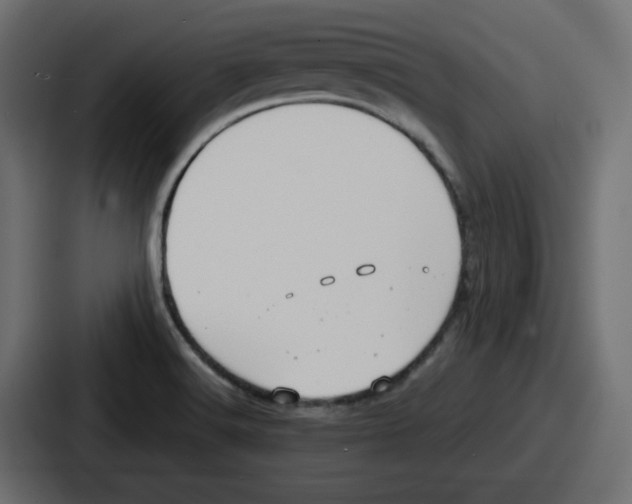 X0000086761516200705111705