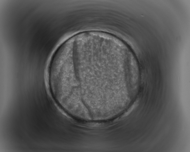 X0000086761517200705111705