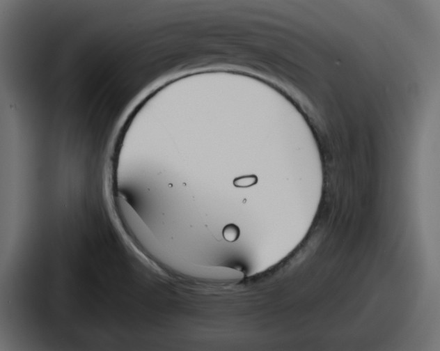 X0000086761518200705111705