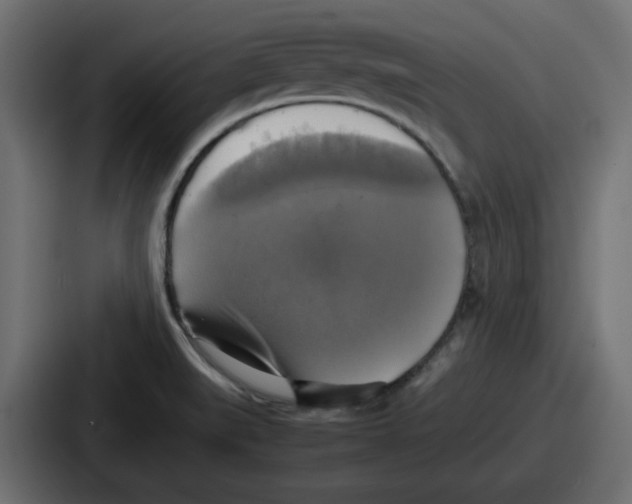 X0000086761519200705111705