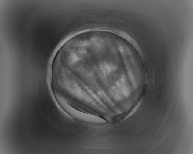 X0000086761520200705111705