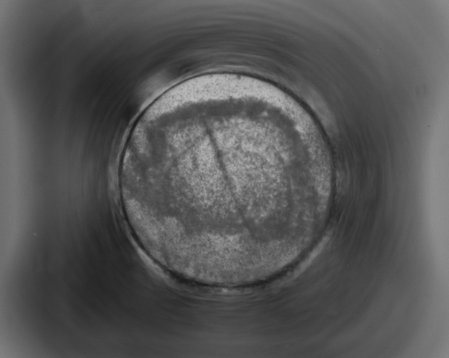 X0000086761521200705111705