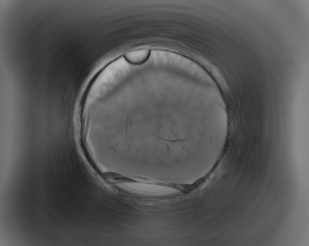 X0000086761522200705111705