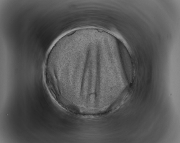 X0000086761524200705111705