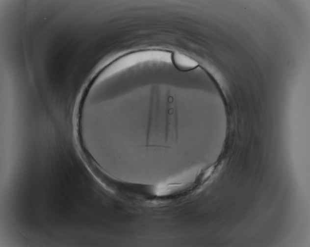 X0000086761525200705111705