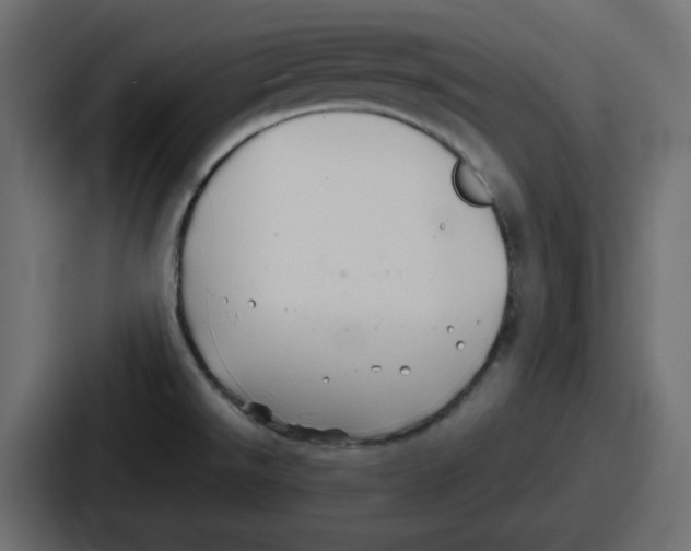 X0000086761526200705111705