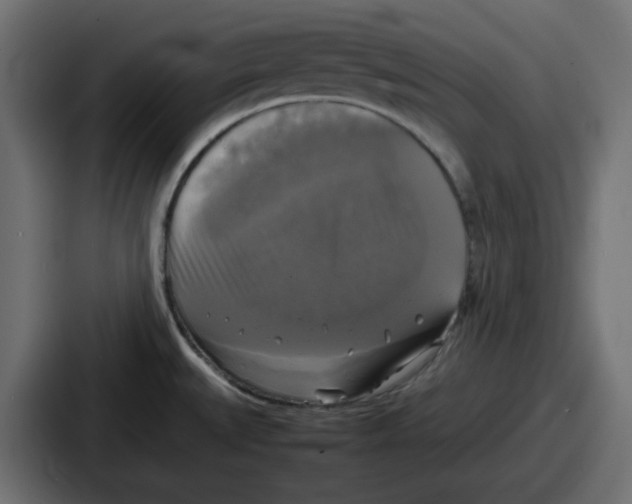 X0000086761527200705111705