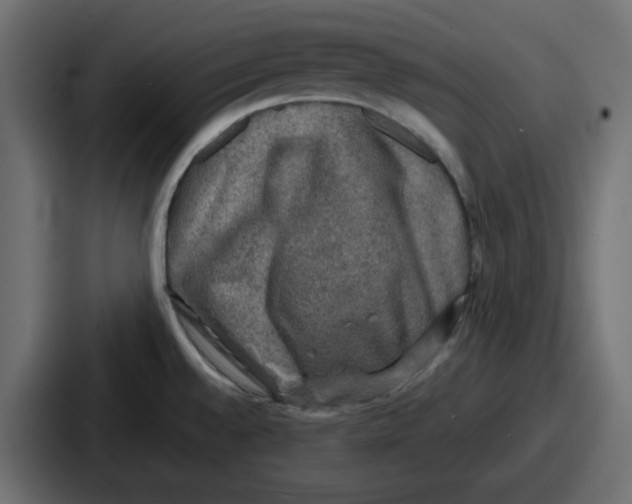 X0000086761528200705111705