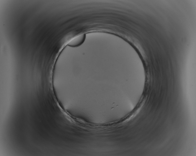 X0000086761529200705111705