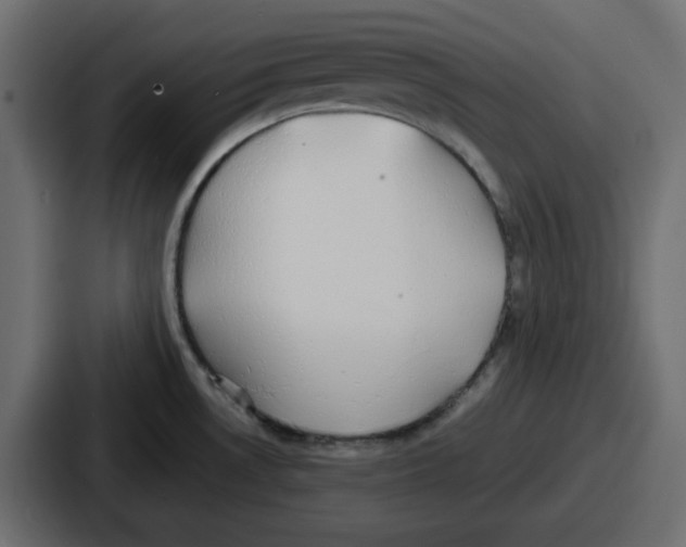 X0000086761530200705111705