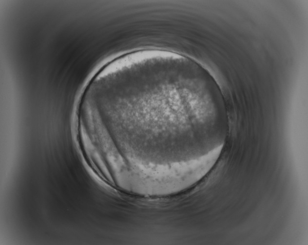 X0000086761531200705111705