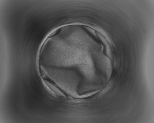 X0000086761532200705111705