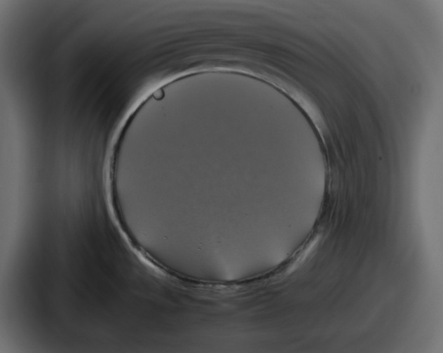 X0000086761533200705111705