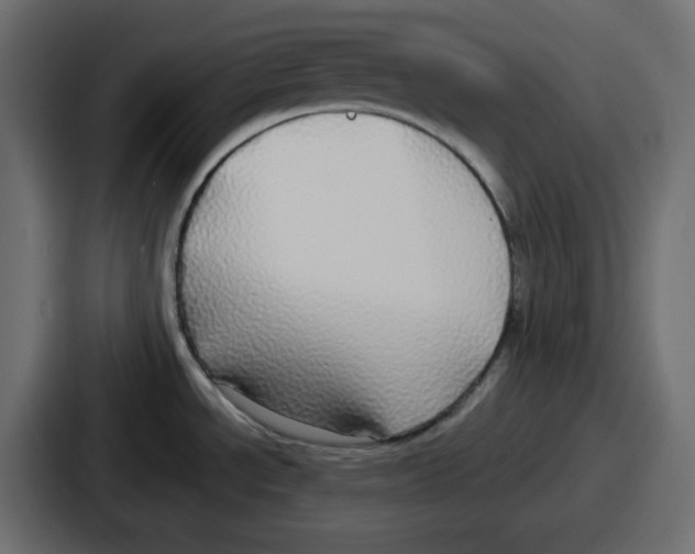 X0000086761534200705111705