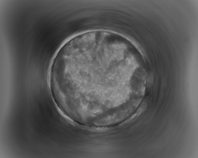 X0000086761535200705111705