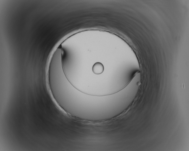 X0000086761536200705111705