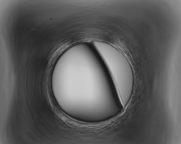 X0000086770001200704130847