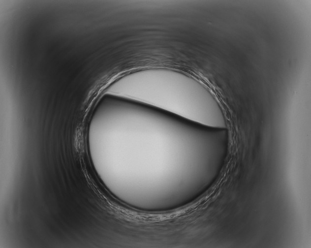 X0000086770002200704130847