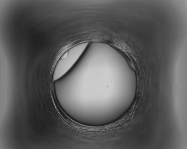 X0000086770003200704130847