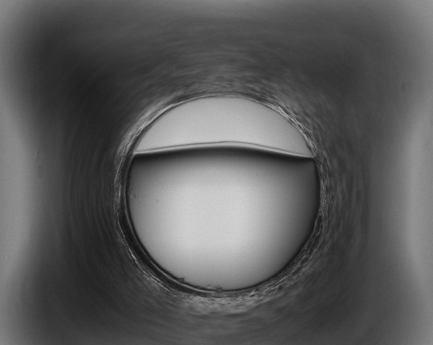 X0000086770005200704130847