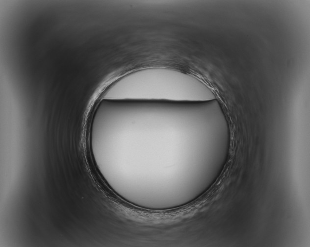 X0000086770006200704130847