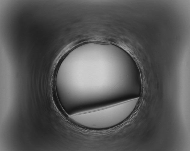 X0000086770007200704130846