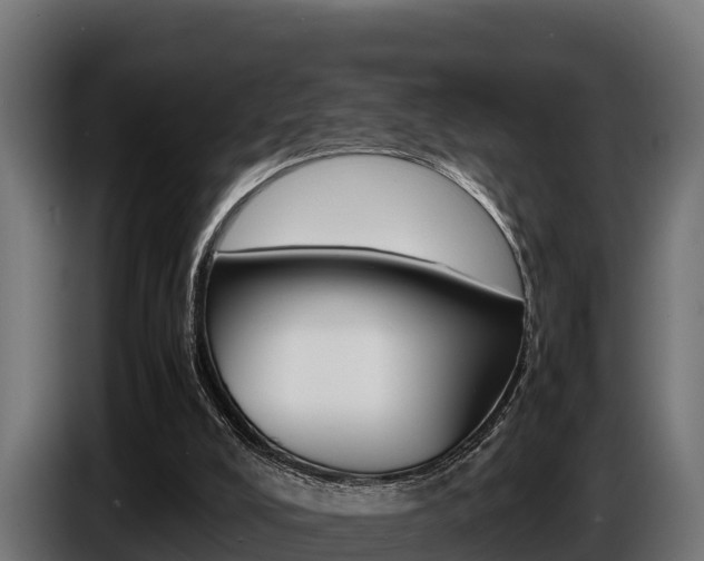 X0000086770008200704130846